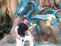 -杭州开元森泊度假乐园