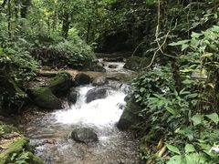 -莫里热带雨林景区