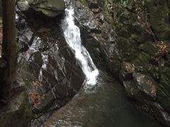 -藏龙百瀑风景区