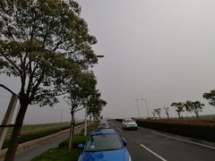 -春花秋色城市公园