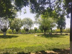 -汉长安城未央宫国家考古遗址公园