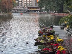 -荔湾湖公园