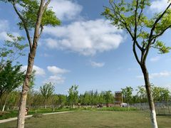 -上海长兴岛郊野公园