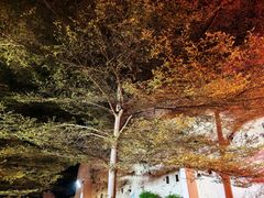 -马六甲鸡场街