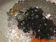 -掌柜的店·河南菜(新天地店)