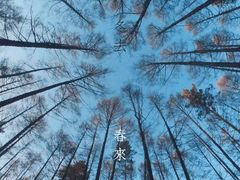 -北极村旅游风景区