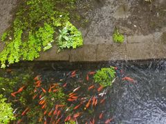 -水磨沟公园