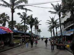 -外伶仃岛海鲜市场