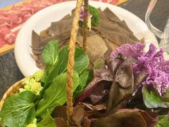 -阳坊胜利涮羊肉(阳坊老店)