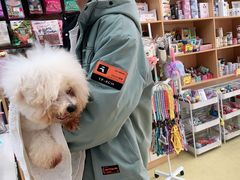 -瑞派宠物医院·中兽医专科(中央商城分院)