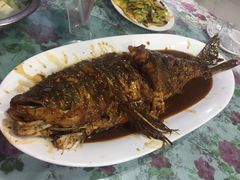 炖水库花鲢鱼-金台阶鱼馆(于桥水库店)