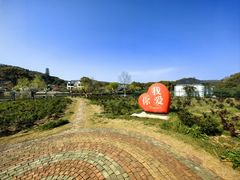 -龙寺生态园