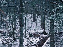 -大明山自然探索公园