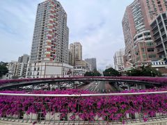 -朝陽市場