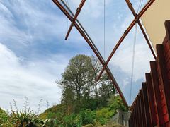 -怀托摩萤火虫洞