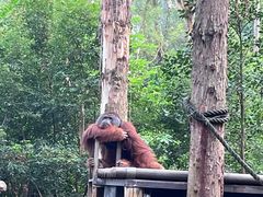 -广州长隆野生动物世界