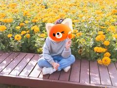 -江苏三台山国家森林公园