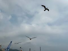 -星海广场