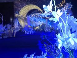 -上海明天广场JW万豪酒店·宴会厅