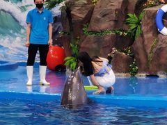 -多彩贵州城极地海洋世界