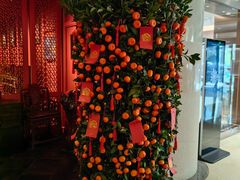 -杭州君悦酒店