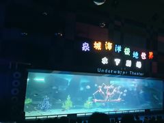 -泉城欧乐堡海洋极地世界