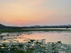 -云龙湖旅游景区