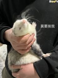 -Zoolung Zoolung动物主题公园(海信广场店)