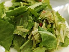 -康陵正德春饼宴26号