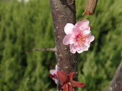 -山东师范大学(千佛山校区)