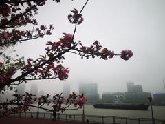 -公平路渡口(轮渡站)