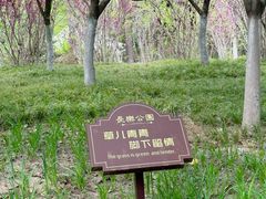 -西安市长乐公园