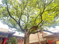 -关中书院