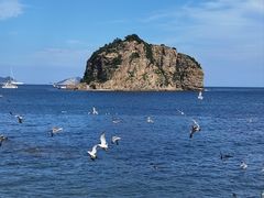 -棒棰岛宾馆景区