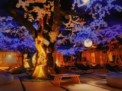 -蓝鲸湾汤泉(包河店)