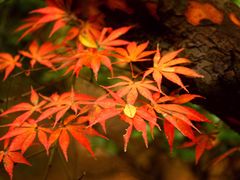 -共青国家森林公园-售票处