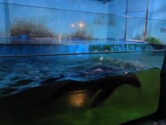 -常州海昌海洋探索馆
