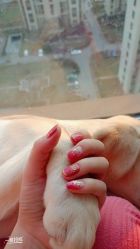-1T·1M 日式美甲美睫