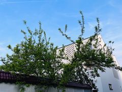 -东梓关景区村庄