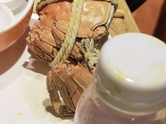 -杨氏青龙虾·羊蝎子(托乐嘉店)