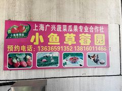 -小鱼草莓采摘园农家乐·小鱼餐厅