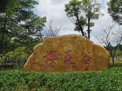 -聚龙山公园