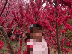 -秀丽东方