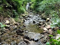 -素山寺森林公园