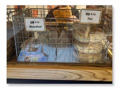 -Catch Bagel(芳草地店)