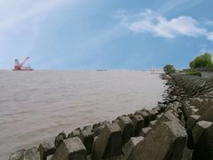 -上海滨江森林公园