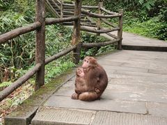 -峨眉山风景名胜区