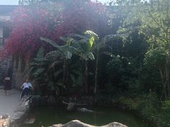 -燊海井