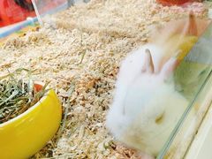 -万达广场(大明宫店)