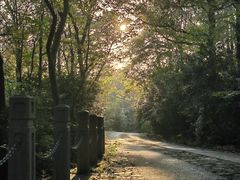 -灵谷景区